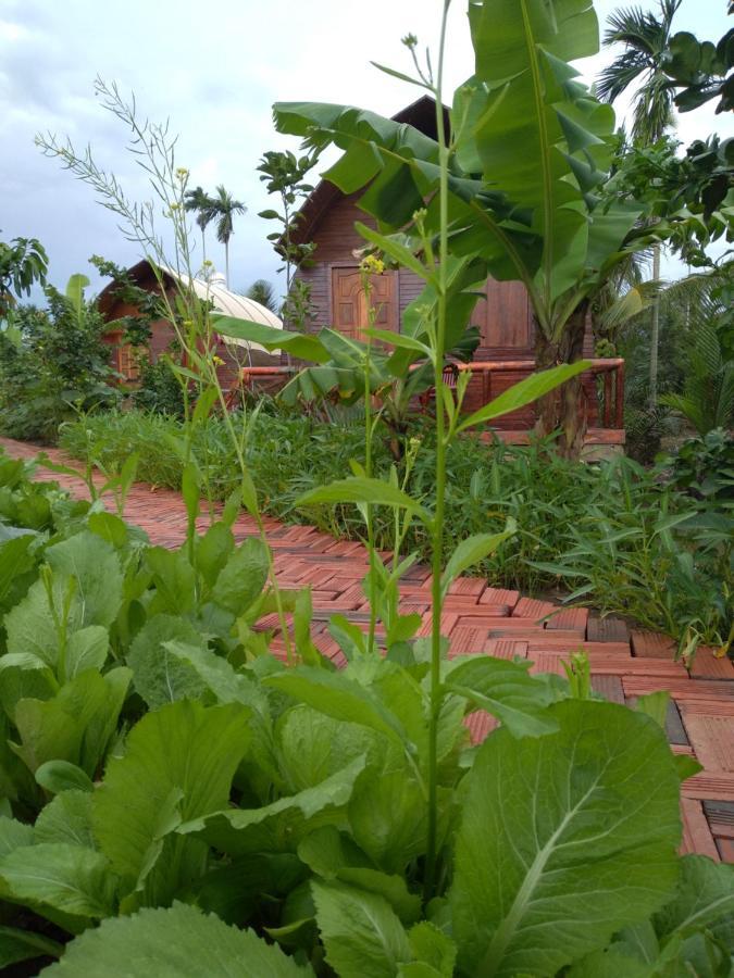 Hong Thai River Side Homestay Ben Tre Екстер'єр фото